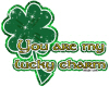 Lucky Irish Charm