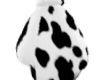dalmatian paws