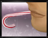 Candy Cane Male