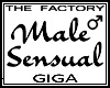 TF Sensual Male Avi Giga