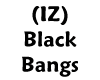(IZ) Black Bangs