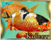 ♣ Koi Fishies - Anim