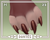 -D- | Latte Feetpaws M