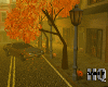 Autumn Fall Street