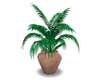 POTTED PLANT 15