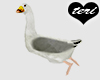[T] Swimming Duck (Gull)