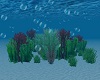 Ocean Plant Garden