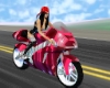 Motorcycle Rider