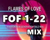 Flames of Love  MIX