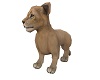 Safari Lion ^,...,^