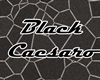 [YM]Black Caesaro