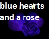 blue hearts and a rose