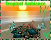 |DRB| Tropical Ambiance