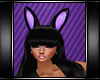 Playboy Purple Ears