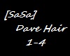 [SaSa] Dave Hair 4