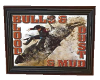 bull rider picture