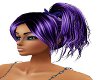 Purple Cassia Hairstyle