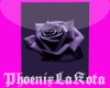 Purple Rose Blanket