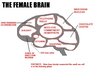 women Brain