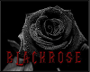 BlackRose Kingdom
