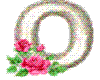 O WITH ROSES AND GLITTER