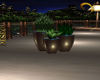 OUTDOOR ANIMATED PLANT