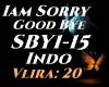 |VE| Iam Sorry Good Bye