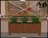 Plants flowers
