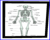SM Doctor Skeletal Chart