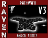 BLACK SHINE PATHWAY V3