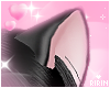 Nekomimi Black Ears
