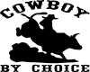 Cowboy by choice pic