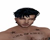Novi