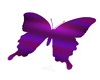 Butterfly Dance Marker