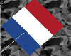 ~NetherlandsHandHeldFlag