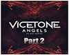 Vicetone|Angels.2