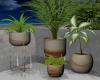Minimalist Planter Set