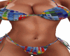 *Bikini 2025*1