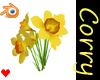 Daffodils 3D
