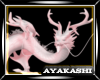 A| Albino Dragon S