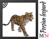 P. leopard Animated FV