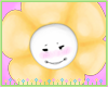 Sunny Flower V3