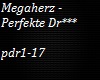 Megaherz - Perfekte D...