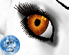 [S]Orange Eye {F}