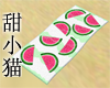 TXM Watermelon Slices