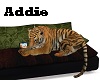 Addie Tiger on Couch