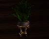 Floor Potted Plant