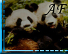 [AF]Panda Backdrop