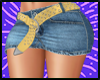 Jean Skirt Gold Belt