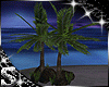 SC: LOST Palm Trees
